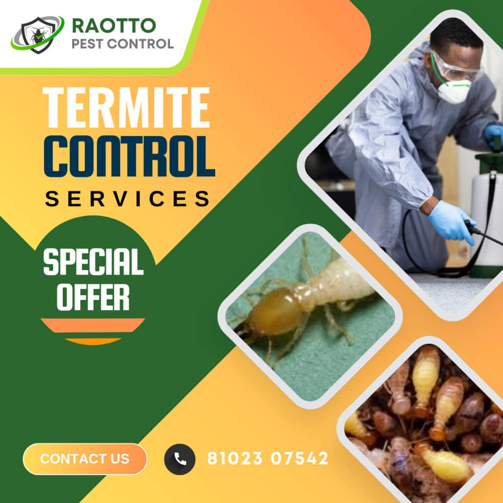 Termite Pest Control Services