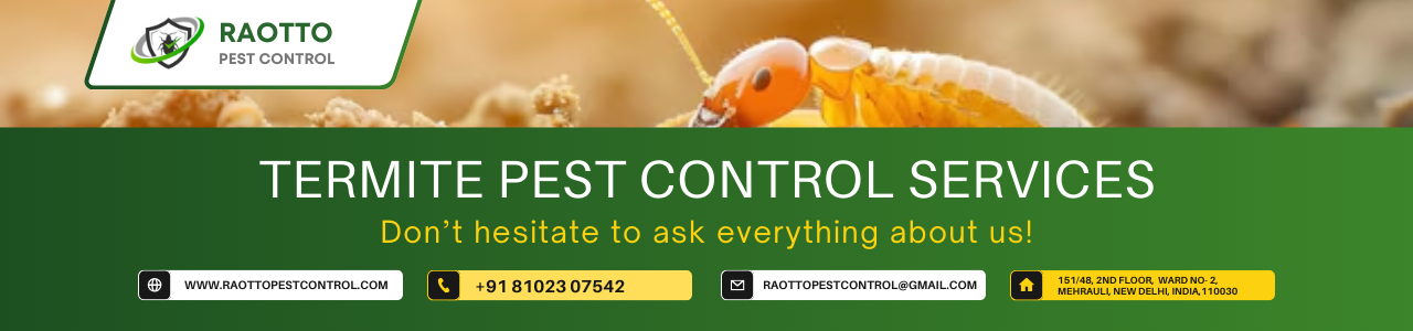 Termite Pest Control Services