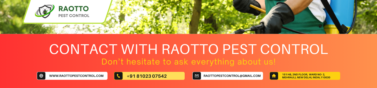 contact with Raotto pest Control