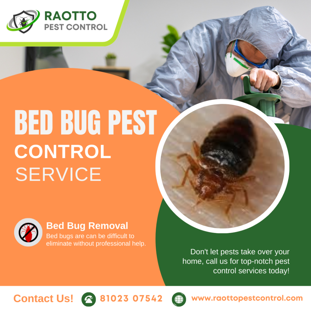 Bed Bug Pest Control Services